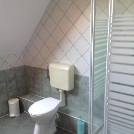 Fonix Fogado Penzion 3*